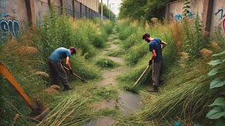 People don't believe we can clean this overgrown sidewalk full of creepy crawlies.