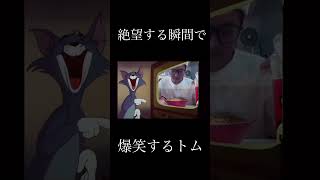 絶望する瞬間で爆笑するトム #shorts #meme