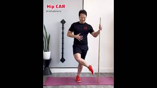 Hip CAR (hip continuous articular rotation)