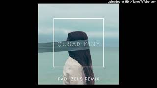 Amr Diab - Qusad Einy (Radi Zeus Remix)