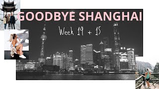 CIEE SEMESTER IN SHANGHAI    Week 14 + 15