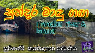 Maadhu river safari in sri lanka ,සුන්දර මාඳු ගඟ, කඩොලාන පද්ධතිය