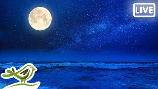 Relaxing Sleep Music 24/7 • Music by @Peder B. Helland