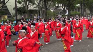 旭食品（スーパーよさこい2013）NHK前ストリート