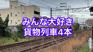 2021.3.5 みんな大好き 貨物列車 4本 今日もムドあり