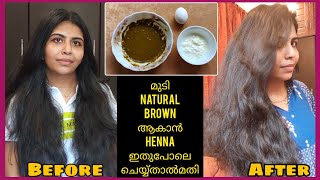 Natural Brown മുടി വേണോ! എങ്കിൽ Henna ഇതുപോലെ ചെയ്യ്തുനോക്കു| How To Prepare Henna For Hair Growth