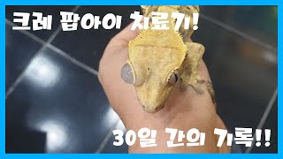 크레 팝아이 치료기30일간의 기록