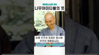 나무아미타불과 무간수염불 청화스님