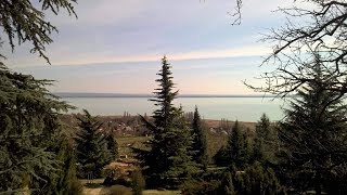 A Balaton zöld ékköve-Folly arborétum