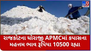 Mandi: રાજકોટની ધોરાજી APMCમાં કપાસના મહત્તમ ભાવ રૂપિયા 10500 રહ્યા |Tv9News