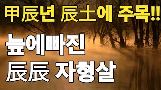 2024년 진토가 있는 분들은 꼭 주목하시길 바랍니다. 진토가 있을때  진진자형살의 작용을 조심하셔야 합니다.