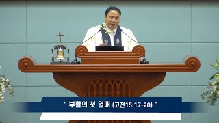 [안동광성교회]부활의 첫 열매