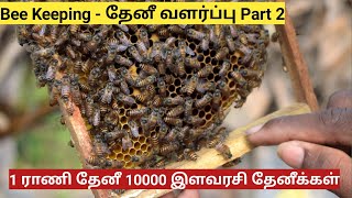 விவசாய உற்பத்தியை இரட்டிப்பாக்கும் தேனீக்கள்  | Bee Keeping Salem part 2