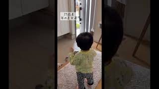 めぐお毎朝のルーティン！#年の差兄弟 #癒し動画  #子育て #男の子ママ #2歳#19歳 #agedifference #healing #baby