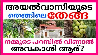 അയൽവാസിയുടെ തെങ്ങിലെ തേങ്ങ നമ്മുടെ പറമ്പിൽ വീണാൽ അവകാശി ആര്? നിയമം ഇങ്ങനെയാണ്