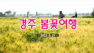 경주봄꽃여행｜2023. 5. 21