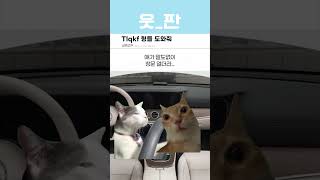 여친이 내 차에 똥지림;; #shorts #인기급상승