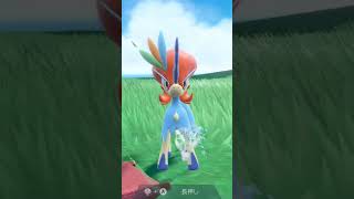 ケルディオ かくごの姿 Keldeo【ポケモンsv】