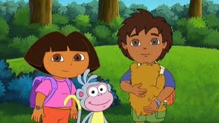 Dora and Boots Meets Diego