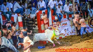 சக்குடி ஜல்லிக்கட்டு 2024 வீடியோஸ் | Sakkudi Jallikattu 2024 Videos | @JallikattuCentral