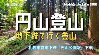 札幌【円山公園駅　地下鉄に乗って登山】ハイキング気分で行った円山登山は意外に…。