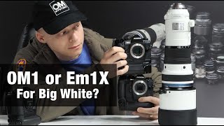 OM1 or Em1X with Big White