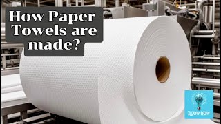 How Paper Towels Are Made