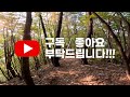 용문산 용조봉 용조봉 용송 용조봉 명품소나무 신선봉 신점리 도성사 소나무 사진 산사진