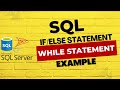 How to IF ELSE and WHILE Statement in SQL || SQL IF ELSE and WHILE Statement | SQL SQL IF ELSE WHILE