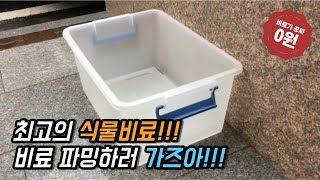 최고의 식물비료!! 비료주는법!! 공짜지만 최고의 효능을 가진 식물비료!!