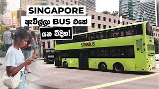 Getting Around Singapore by Bus | Public Transport in Singapore - Part 1 (Sinhala)