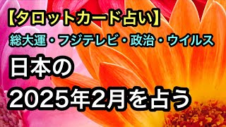 【タロット占い】日本の2025年2月を占う【総大運・フジテレビ・政治・ウイルス】