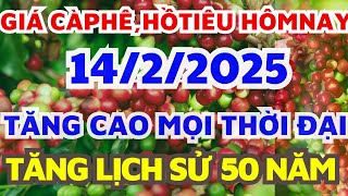 Giá cà phê hôm nay ngày 14/2/2025/Giá hồ tiêu hôm nay