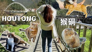 [猴硐貓村]  taiwan travel 貓奴絕對不要錯過的世界級賞貓景點♡ 一次感受貓咪的各種魅力 ! #CNN推薦全世界六大賞貓景點