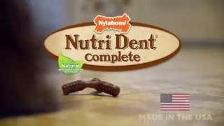 Nutri Dent Complete 3-Point Edible Dental Chews—Better Than Brushing!