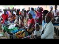 Zimbabwe faces drought, economic crisis: WFP