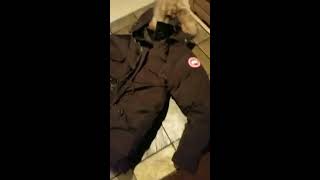 Picktop.ru Canada Goose Jacket review