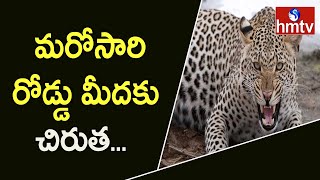 మూడు రోజులైనా దొరకని చిరుత ఆచూకీ | Operation Chirutha Is Underway In Hyderabad | hmtv