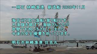 明石 林崎漁港 新造船 2020年11月