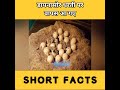 क्या सच में अभी भी डायनासोर धरती पर जिंदा है facts shorts dinosaur dinosaurs titanosaurus