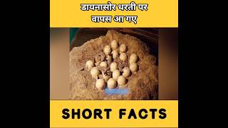 क्या सच में अभी भी डायनासोर धरती पर जिंदा है #facts #shorts #dinosaur #dinosaurs #titanosaurus