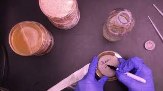 Fecal Coliform Bacteria Tests