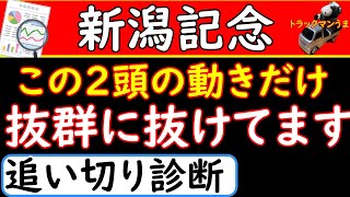 新潟記念2021年の追い切り診断！予想オッズ上位馬6頭を診断しました