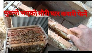 पुरानो भएको मौरीको घार कसरी फेर्ने। how to bee box exchange #nepali #beekeeping @Info.Tulmagar