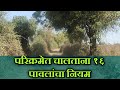 नर्मदा परिक्रमा का चलने का नियम | 16 step Rule | Narmada Parikrama | नर्मदा परिक्रमा | Day 54 Part 1