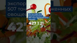 Сотни тонн этого товара продал Кыргызстан за рубеж!