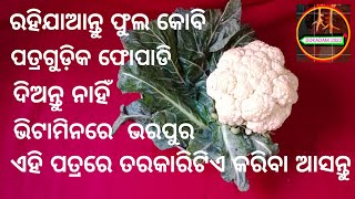 ଫୁଲ କୋବି ଶାଗ ତରକାରି ଥରେ ଖାଇଲେ ପୁଣି ବାରମ୍ବାର କରିକି ଖାଇବେ,ଏମିତି କରନ୍ତୁ ହାତ ଚାଟି ଖାଇବେ🙋👁️🔊💯%👍📜✍️🔔🙏