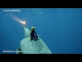 abzu chapter2 トロフィー用攻略