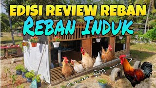 (EP56) - Reban Induk ayam kampung, buat sekadar mampu sahaja...ikut kemampuan 🐔