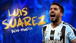 🇺🇾 Uruguaio com sangue "gaucho". Sou Grêmio! 🇪🇪